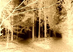Sepia + Negatyw