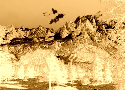 Sepia + Negatyw