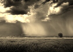 Szary + Sepia