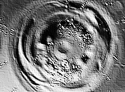 Skamielina