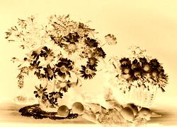 Sepia + Negatyw