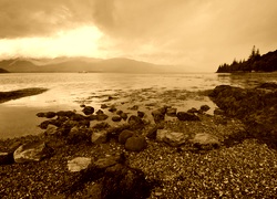 Sepia