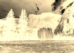 Sepia + Negatyw