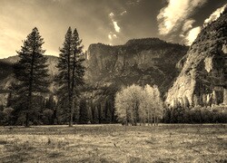 Szary + Sepia