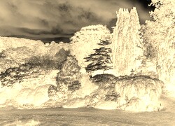 Sepia + Negatyw