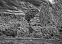 Skamielina