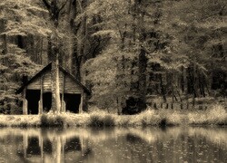 Szary + Sepia