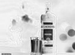 Szary + Negatyw