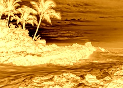 Sepia + Negatyw