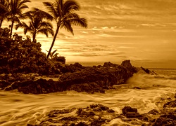 Sepia