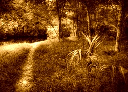 Sepia