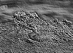 Skamielina