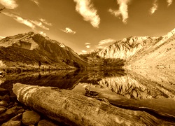 Sepia