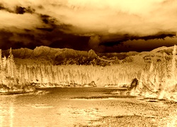 Sepia + Negatyw