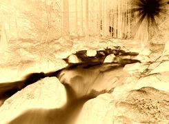 Sepia + Negatyw