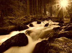 Sepia