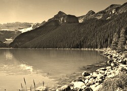 Szary + Sepia