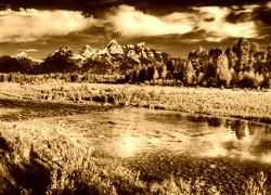 Sepia