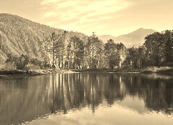 Sepia