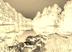 Sepia + Negatyw