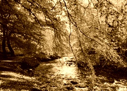 Sepia