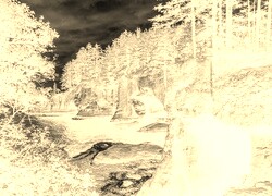 Sepia + Negatyw