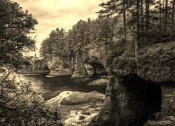 Szary + Sepia