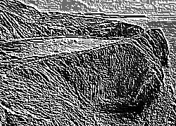 Skamielina