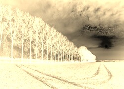 Sepia + Negatyw