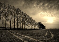 Szary + Sepia
