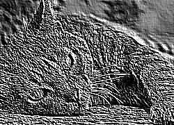Skamielina