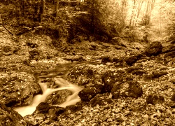 Sepia