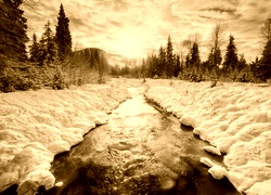 Sepia
