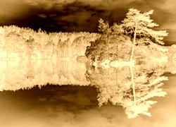 Sepia + Negatyw