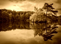 Sepia