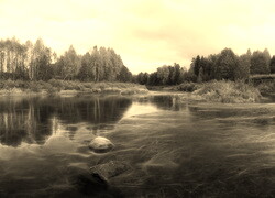 Szary + Sepia
