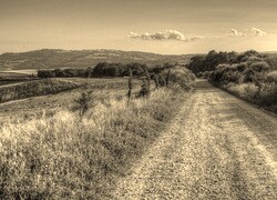 Szary + Sepia
