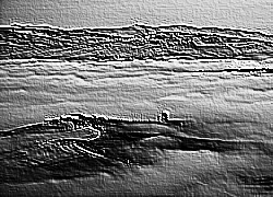 Skamielina