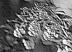 Skamielina