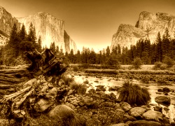 Sepia