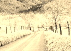 Szary + Sepia