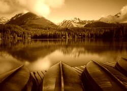 Sepia