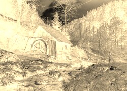 Sepia + Negatyw