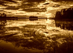 Sepia