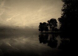 Szary + Sepia