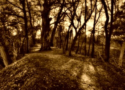 Sepia