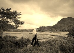 Sepia