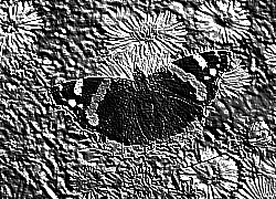 Skamielina