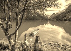 Szary + Sepia