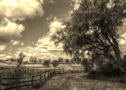 Sepia